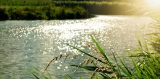 body of water at daytime